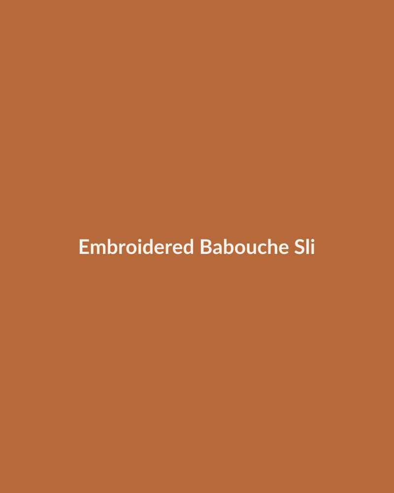 Embroidered Babouche Slippers